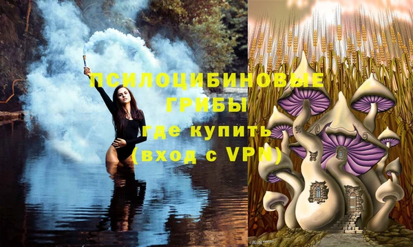 герыч Переславль-Залесский